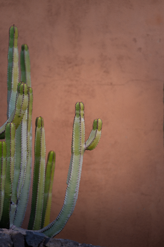 Photographie de voyage en Espagne par Marie Dehayes