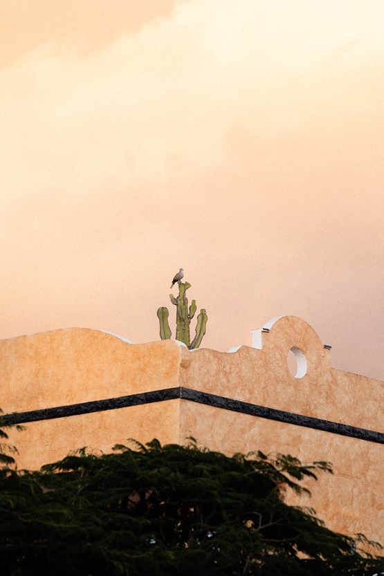 Photographie de voyage aux Canaries par Marie Dehayes