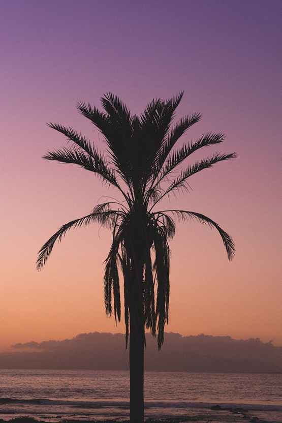 Photographie de voyage sur la cote atlantique par Marie Dehayes