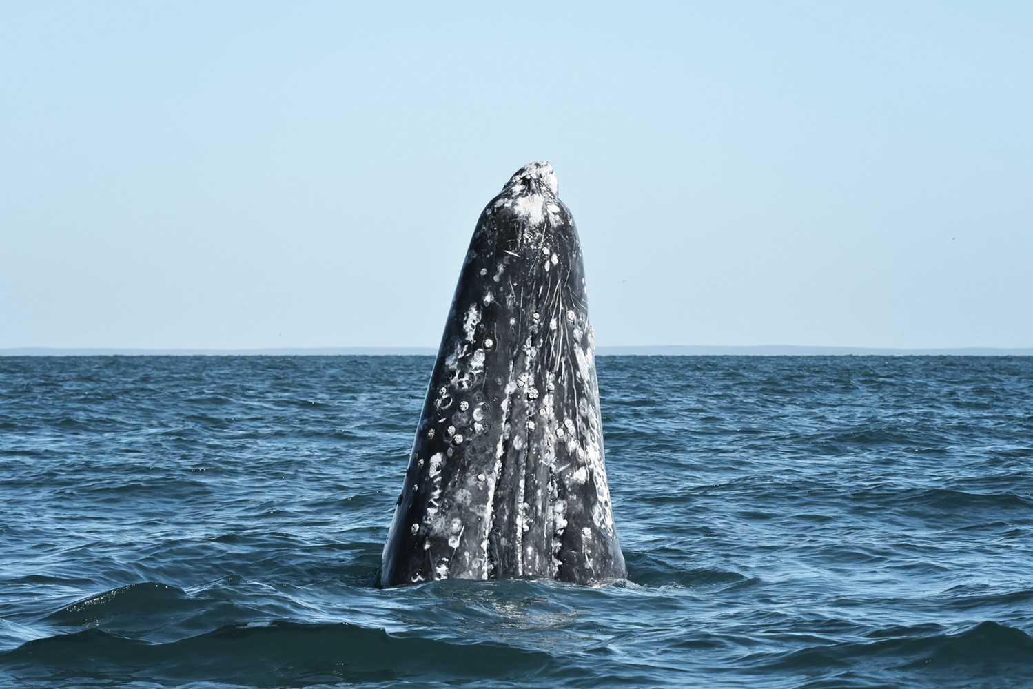 Photographie de voyage et d'exploration par Marie Dehayes